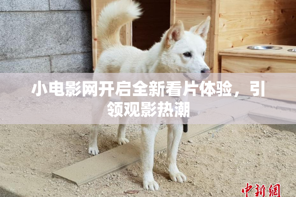 小电影网开启全新看片体验，引领观影热潮