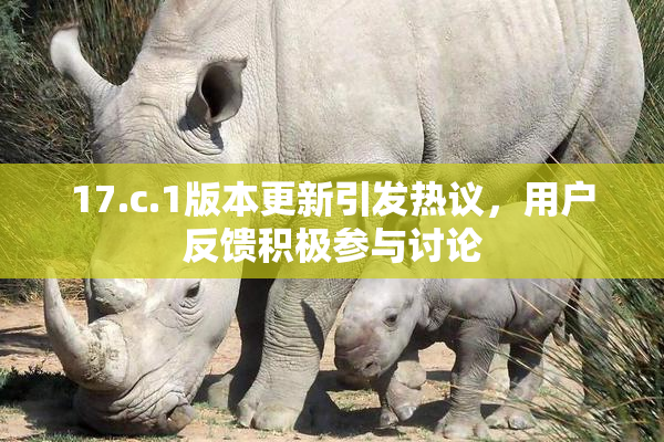 17.c.1版本更新引发热议，用户反馈积极参与讨论