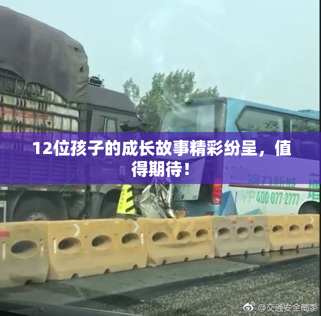 12位孩子的成长故事精彩纷呈，值得期待！
