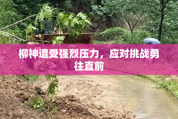 柳神遭受强烈压力，应对挑战勇往直前