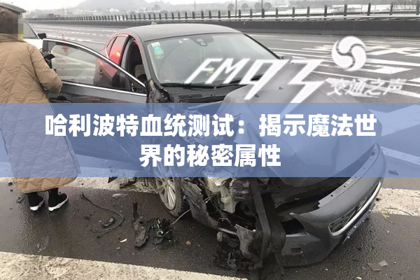 哈利波特血统测试：揭示魔法世界的秘密属性