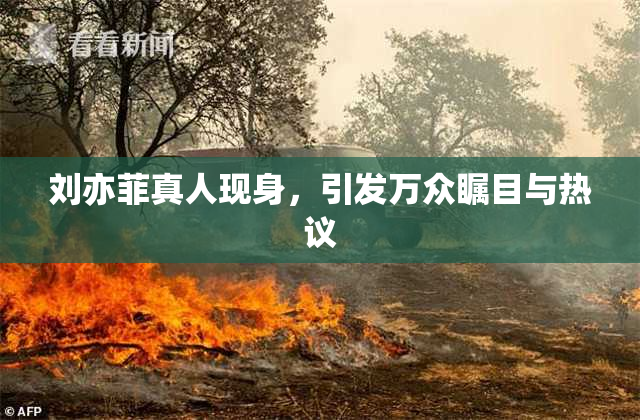 刘亦菲真人现身，引发万众瞩目与热议