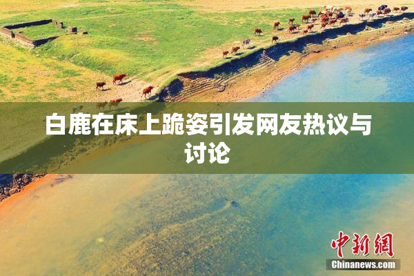 白鹿在床上跪姿引发网友热议与讨论