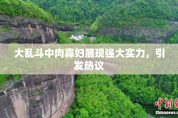 大乱斗中肉寡妇展现强大实力，引发热议