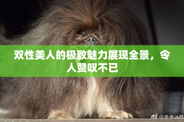 双性美人的极致魅力展现全景，令人赞叹不已