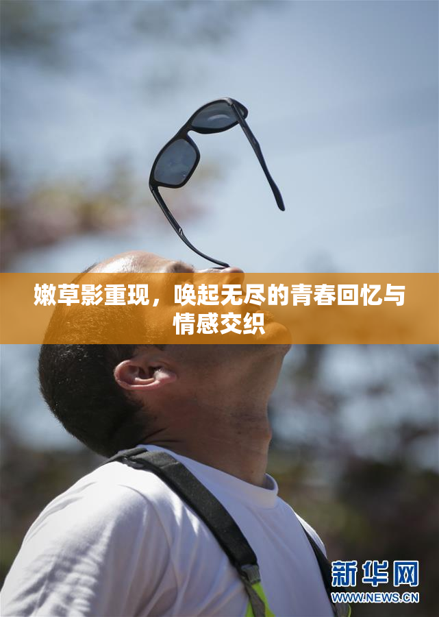 嫩草影重现，唤起无尽的青春回忆与情感交织
