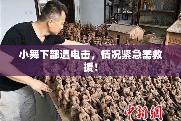小舞下部遭电击，情况紧急需救援！