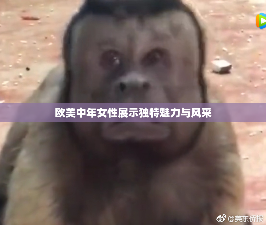 欧美中年女性展示独特魅力与风采