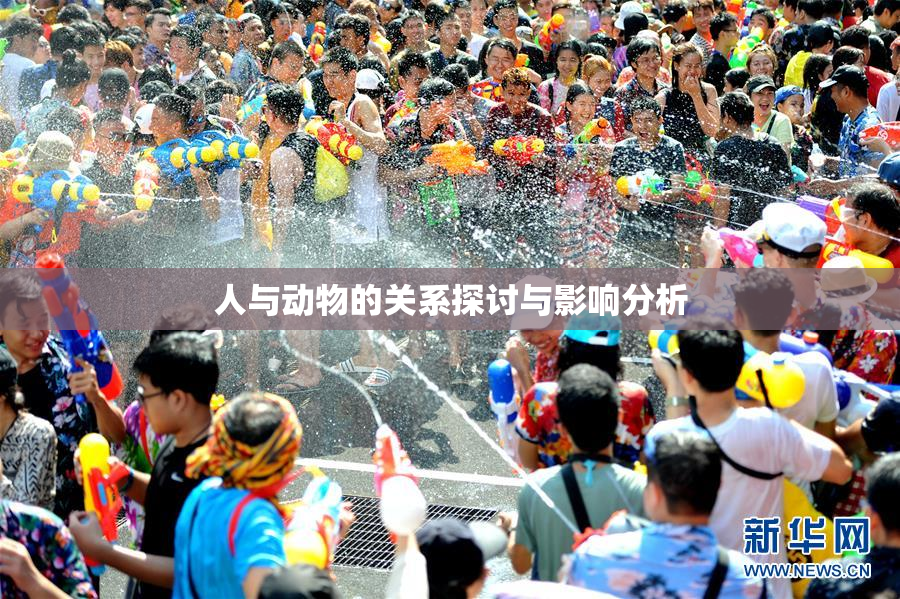 人与动物的关系探讨与影响分析