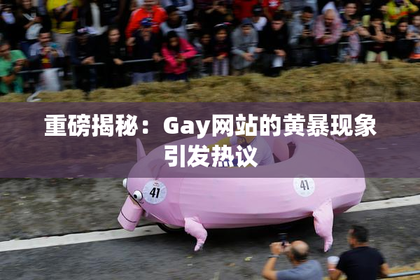 重磅揭秘：Gay网站的黄暴现象引发热议