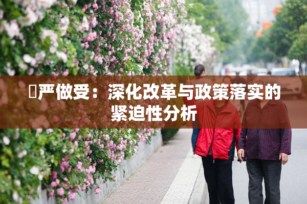 囯严做受：深化改革与政策落实的紧迫性分析