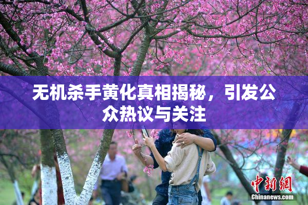 无机杀手黄化真相揭秘，引发公众热议与关注