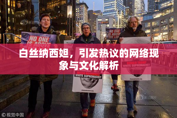 白丝纳西妲，引发热议的网络现象与文化解析