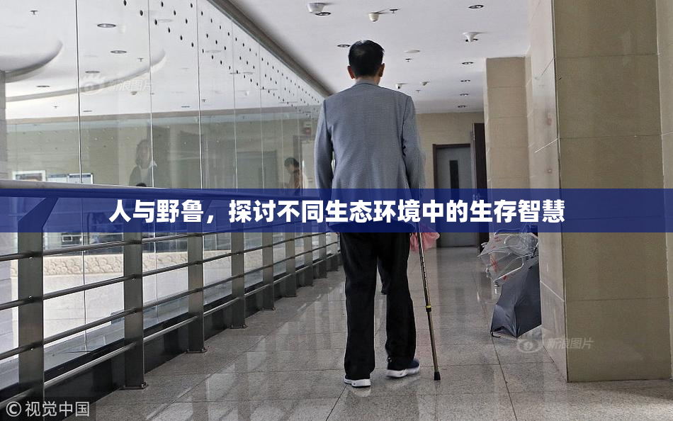 人与野鲁，探讨不同生态环境中的生存智慧
