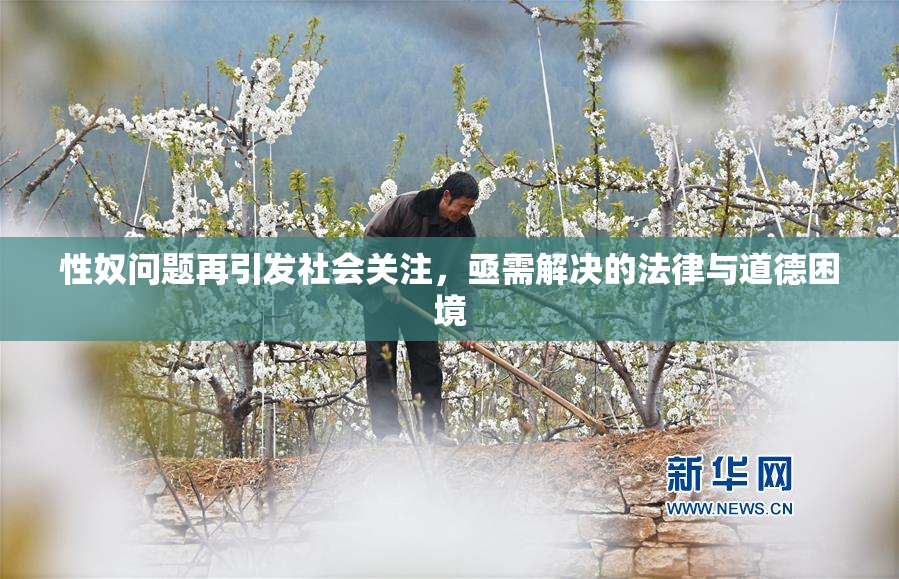 性奴问题再引发社会关注，亟需解决的法律与道德困境