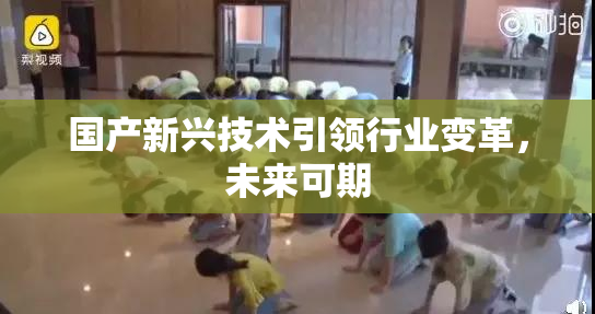 国产新兴技术引领行业变革，未来可期