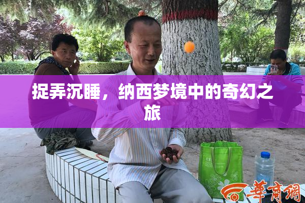 捉弄沉睡，纳西梦境中的奇幻之旅