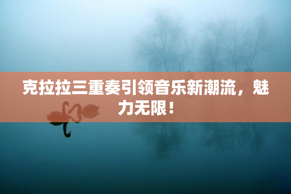 克拉拉三重奏引领音乐新潮流，魅力无限！