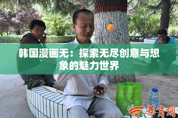 韩国漫画无：探索无尽创意与想象的魅力世界