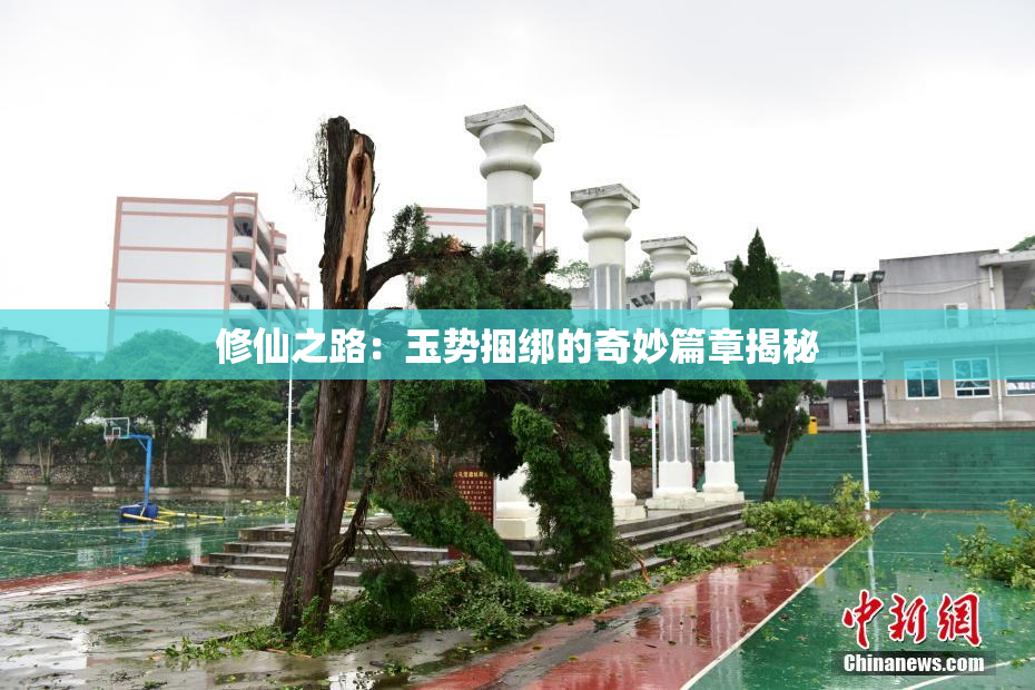 修仙之路：玉势捆绑的奇妙篇章揭秘