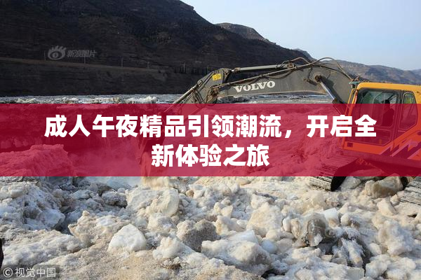 成人午夜精品引领潮流，开启全新体验之旅