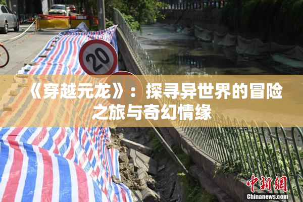 《穿越元龙》：探寻异世界的冒险之旅与奇幻情缘