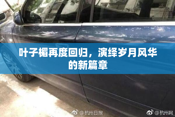 叶子楣再度回归，演绎岁月风华的新篇章