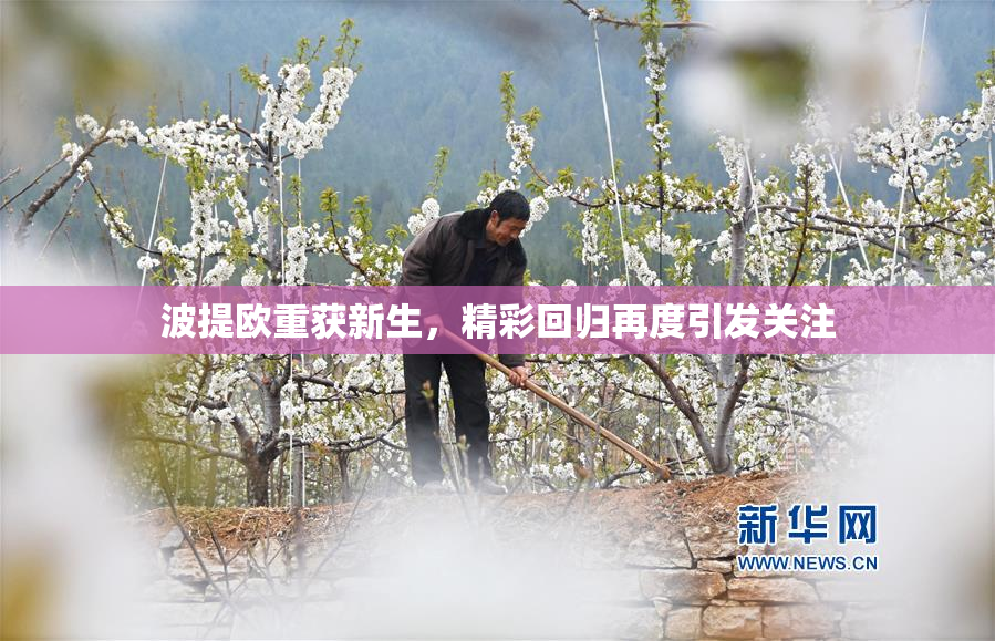 波提欧重获新生，精彩回归再度引发关注