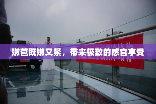 嫩苞既嫩又紧，带来极致的感官享受