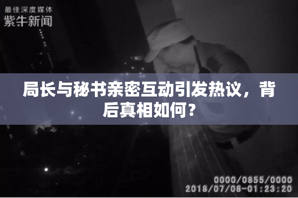 局长与秘书亲密互动引发热议，背后真相如何？