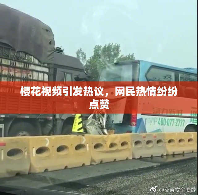 樱花视频引发热议，网民热情纷纷点赞