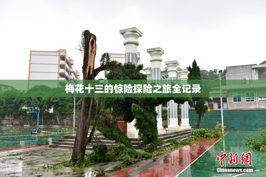 梅花十三的惊险探险之旅全记录