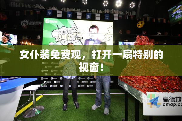 女仆装免费观，打开一扇特别的视窗！