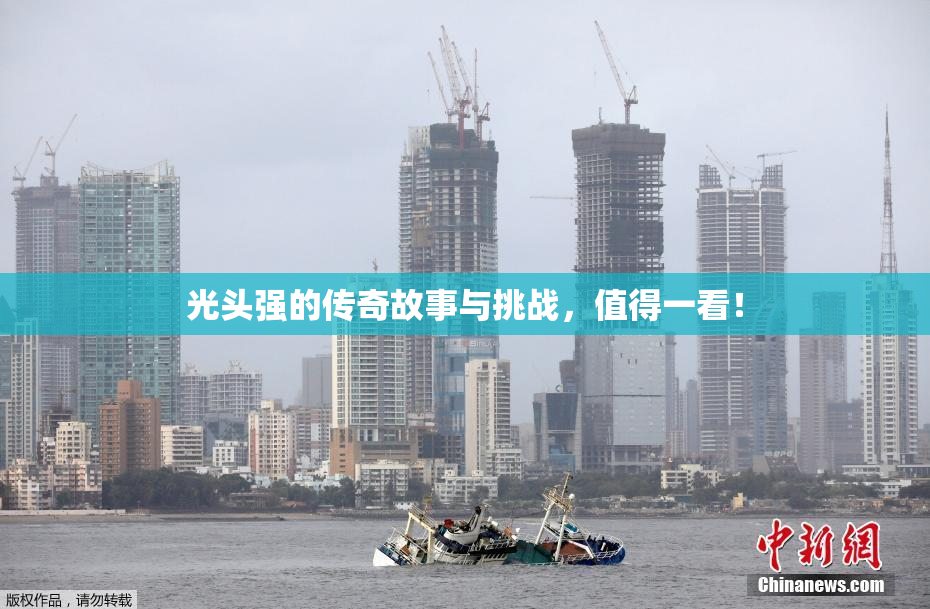 光头强的传奇故事与挑战，值得一看！