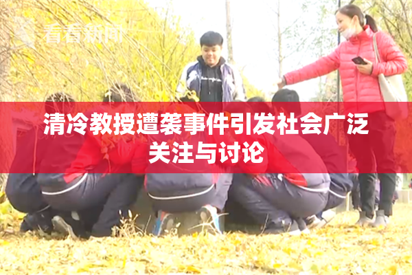清冷教授遭袭事件引发社会广泛关注与讨论
