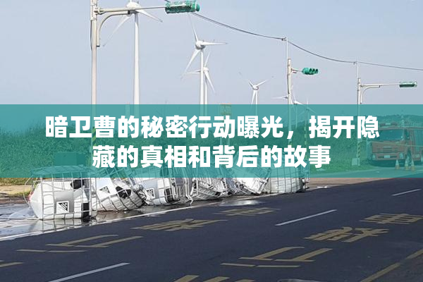 暗卫曹的秘密行动曝光，揭开隐藏的真相和背后的故事