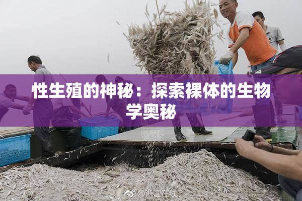 性生殖的神秘：探索裸体的生物学奥秘