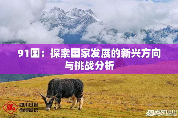 91国：探索国家发展的新兴方向与挑战分析