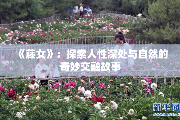 《藤女》：探索人性深处与自然的奇妙交融故事