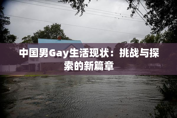 中国男Gay生活现状：挑战与探索的新篇章