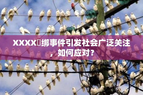 XXXX秵绑事件引发社会广泛关注，如何应对？