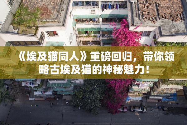 《埃及猫同人》重磅回归，带你领略古埃及猫的神秘魅力！