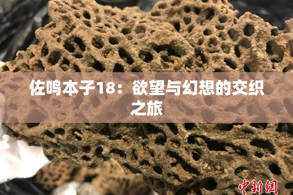 佐鸣本子18：欲望与幻想的交织之旅