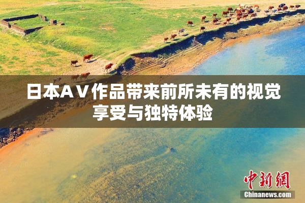 日本AⅤ作品带来前所未有的视觉享受与独特体验
