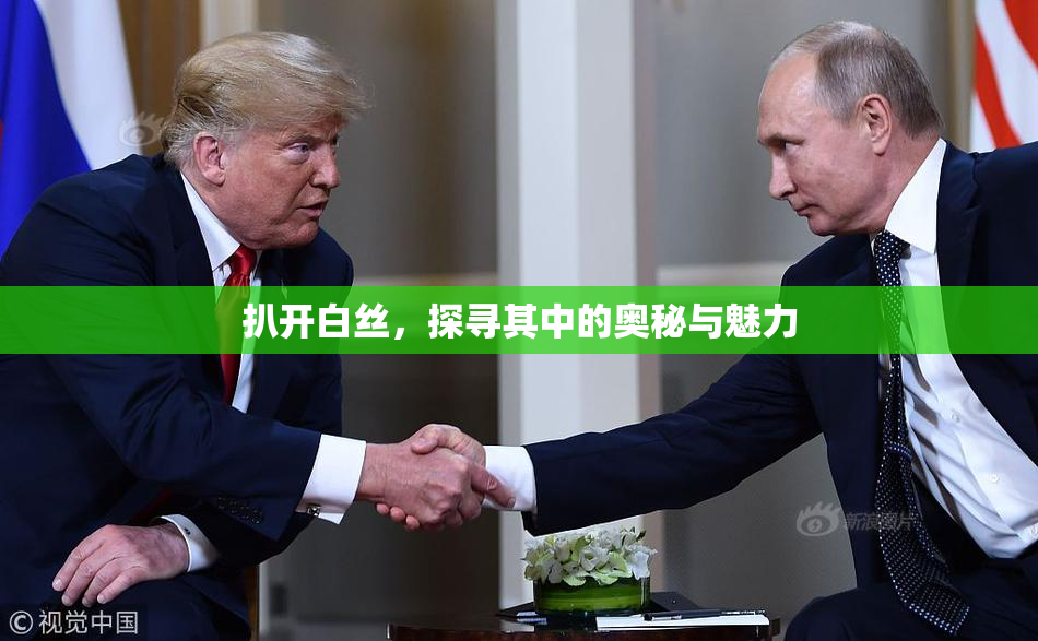 扒开白丝，探寻其中的奥秘与魅力