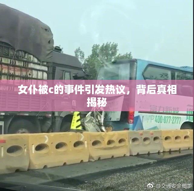 女仆被c的事件引发热议，背后真相揭秘