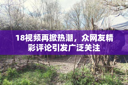 18视频再掀热潮，众网友精彩评论引发广泛关注