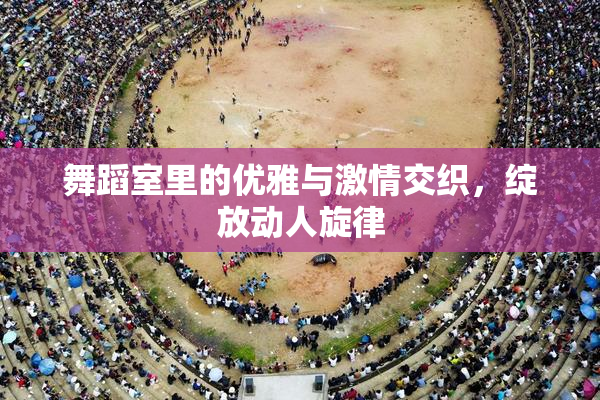 舞蹈室里的优雅与激情交织，绽放动人旋律