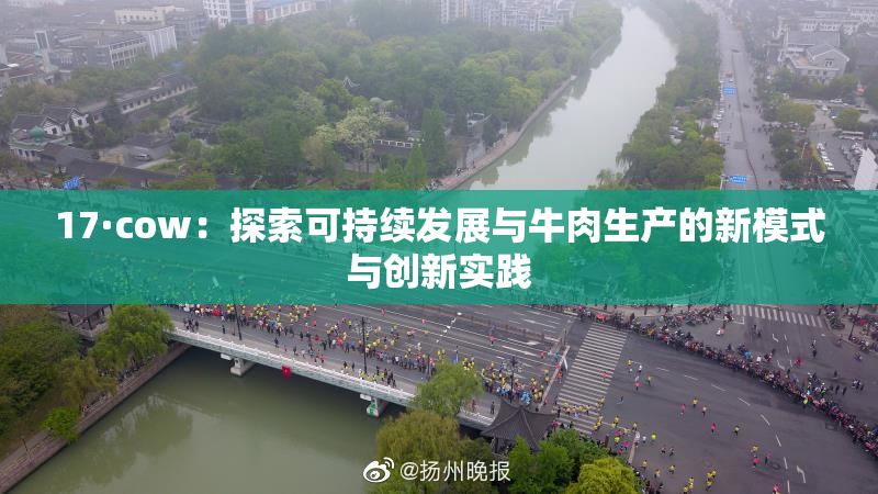 17·cow：探索可持续发展与牛肉生产的新模式与创新实践