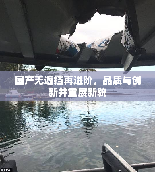国产无遮挡再进阶，品质与创新并重展新貌